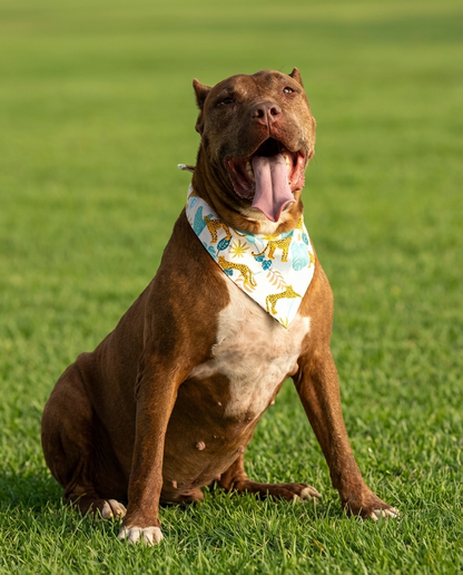 הסיפור של הרקולס