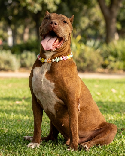 הסיפור של הרקולס