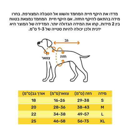 המערב הפרוע